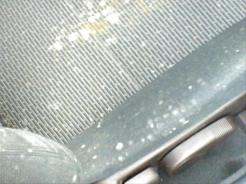 DSC00015.webp