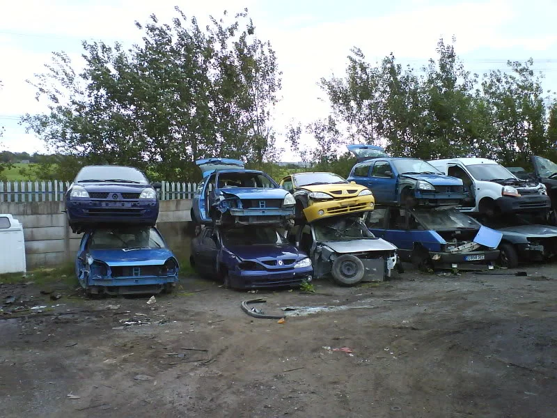 DSC00015.webp
