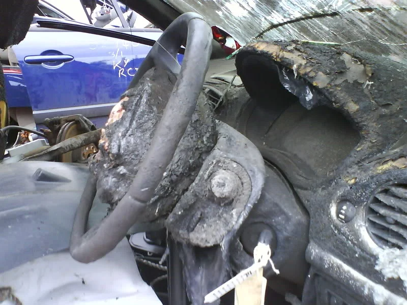DSC00016.webp