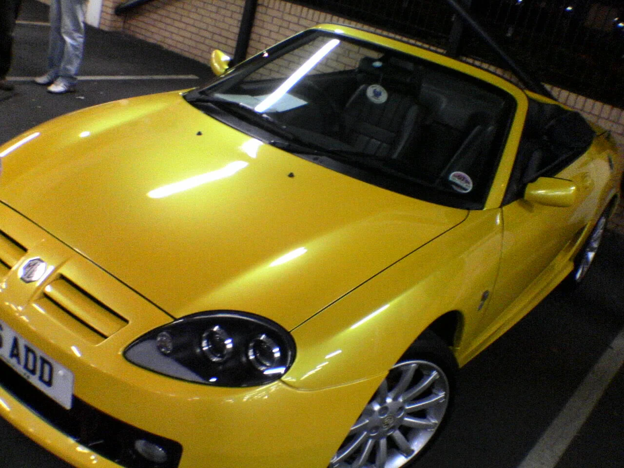 DSC00018.webp