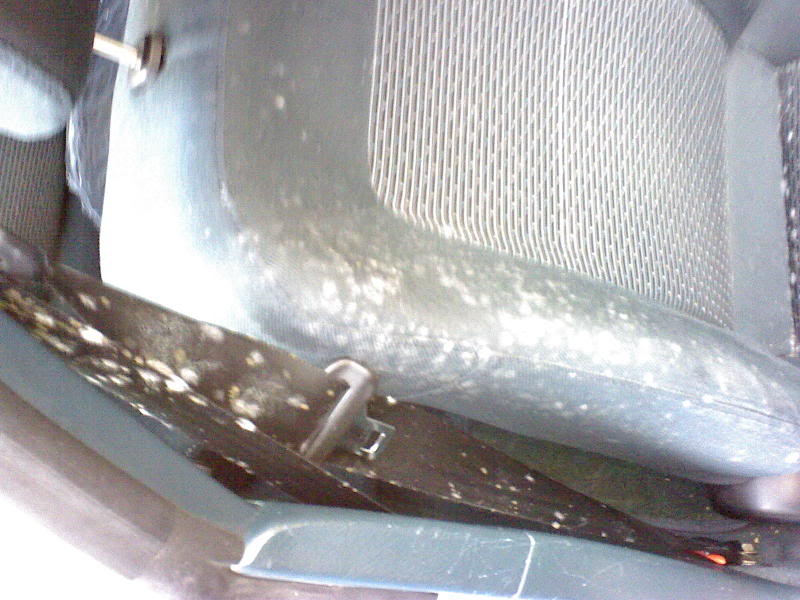 DSC00019.jpg DSC00019.jpg