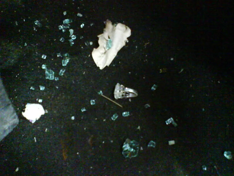DSC00019.webp