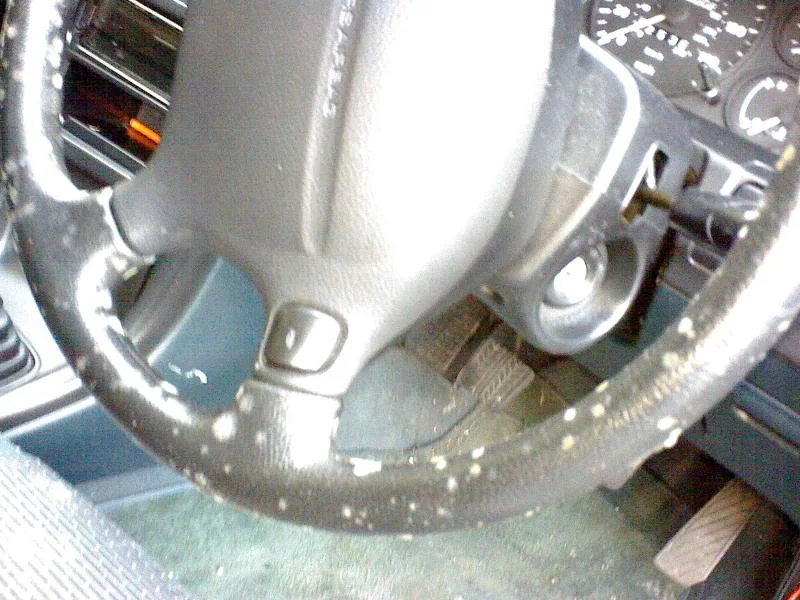 DSC00020.webp