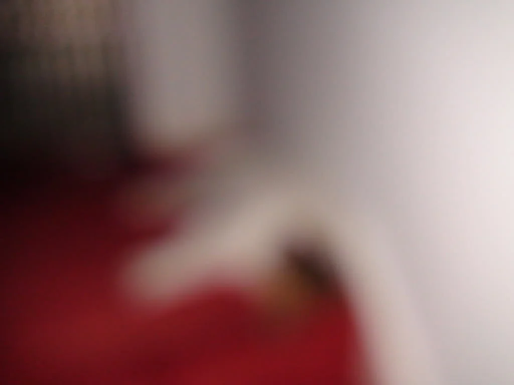 DSC00020.webp