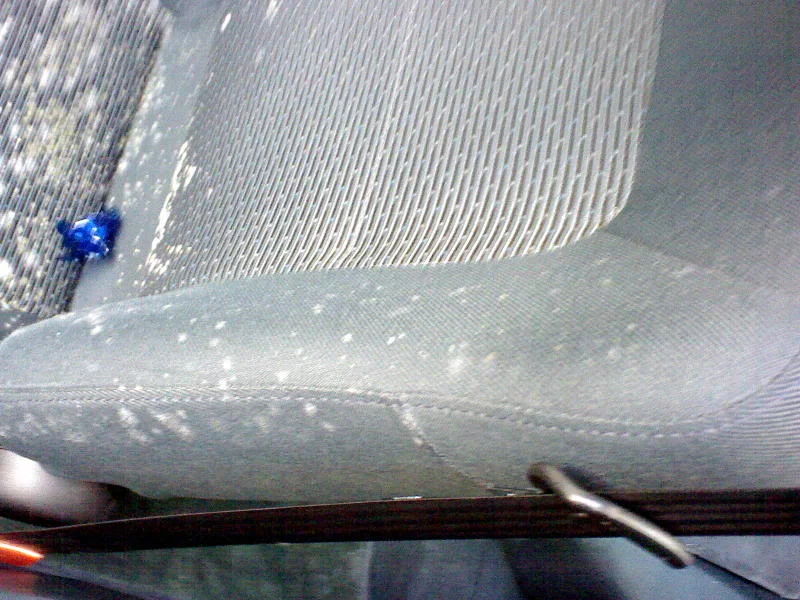 DSC00022.webp