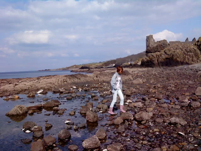 DSC00022.webp