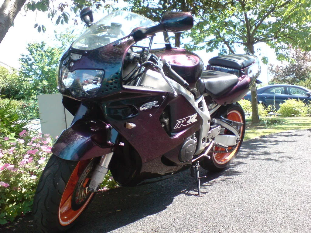 DSC00022.webp