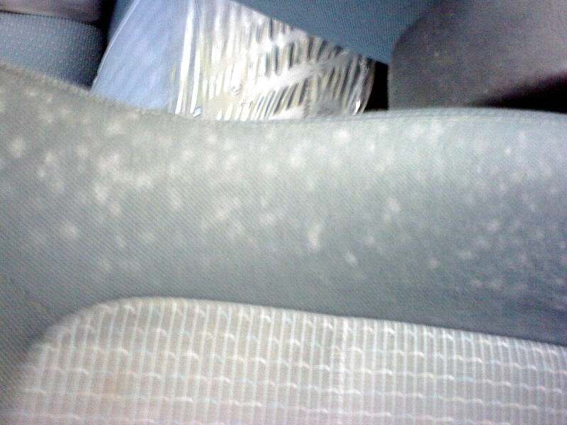 DSC00024.jpg DSC00024.jpg