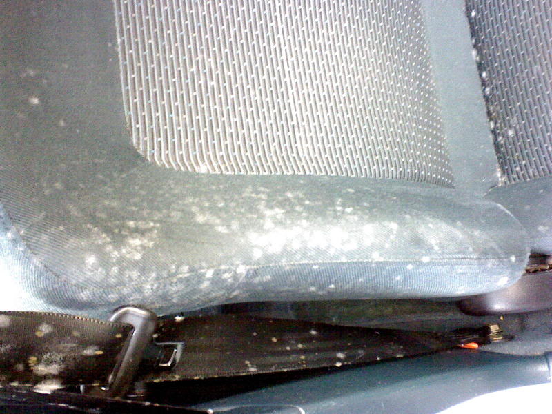 DSC00026.jpg DSC00026.jpg