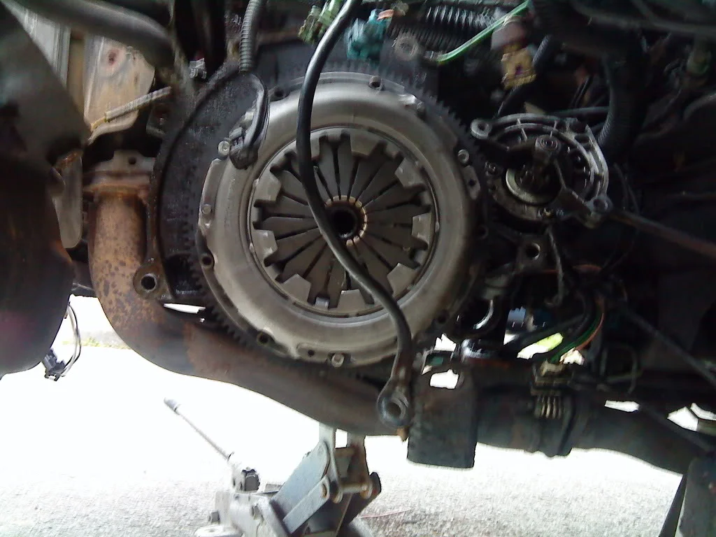 DSC00028.webp