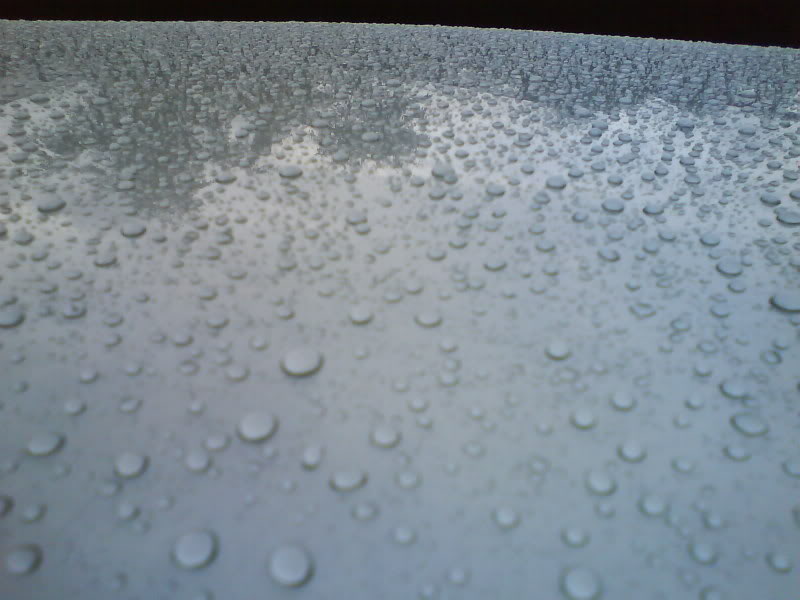 DSC00029.jpg