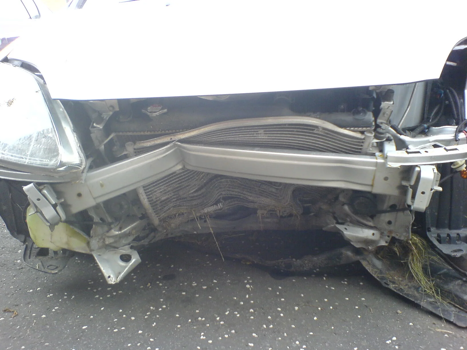 DSC00029.webp