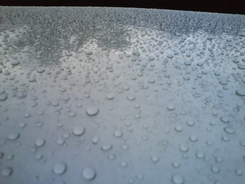 DSC00029.webp