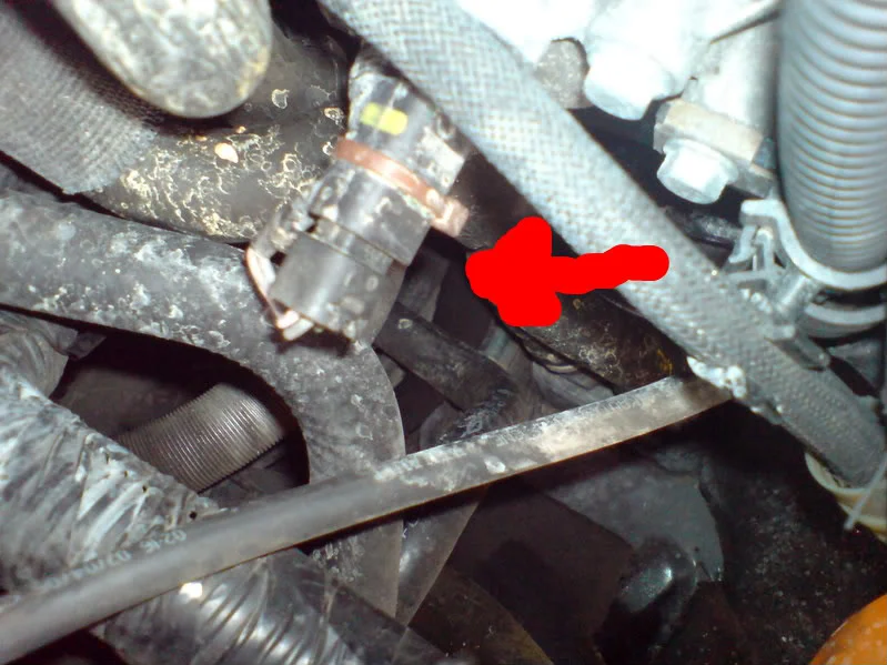 DSC00031-1-1.webp