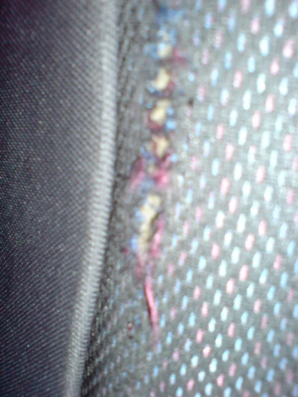 DSC00031-1.webp