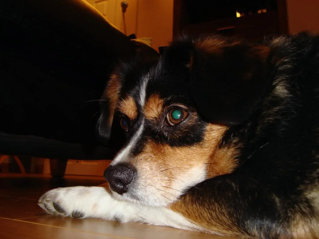 DSC00034.webp