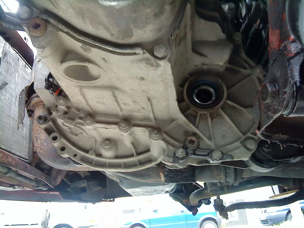DSC00039.webp