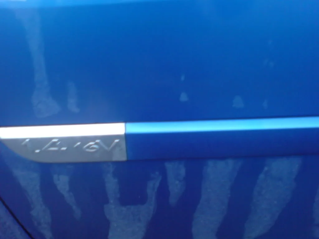 DSC00043.webp