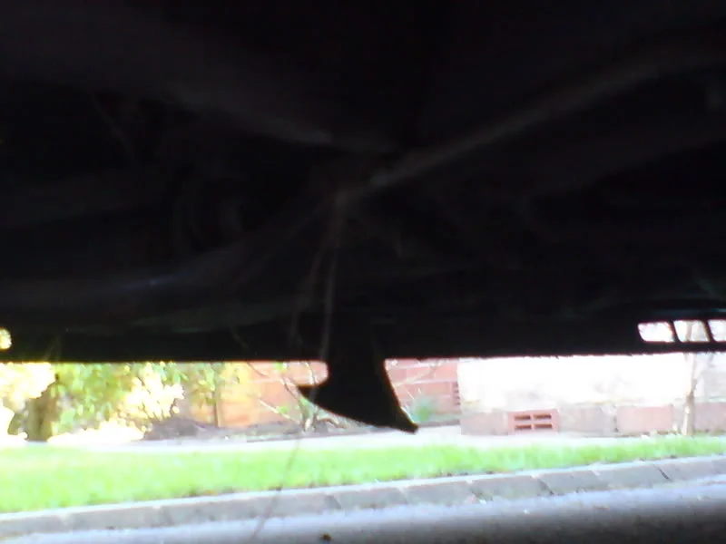 DSC00044.webp