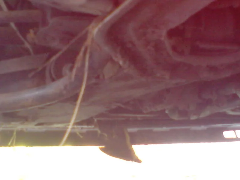 DSC00045.webp
