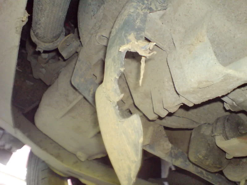 DSC00048.webp