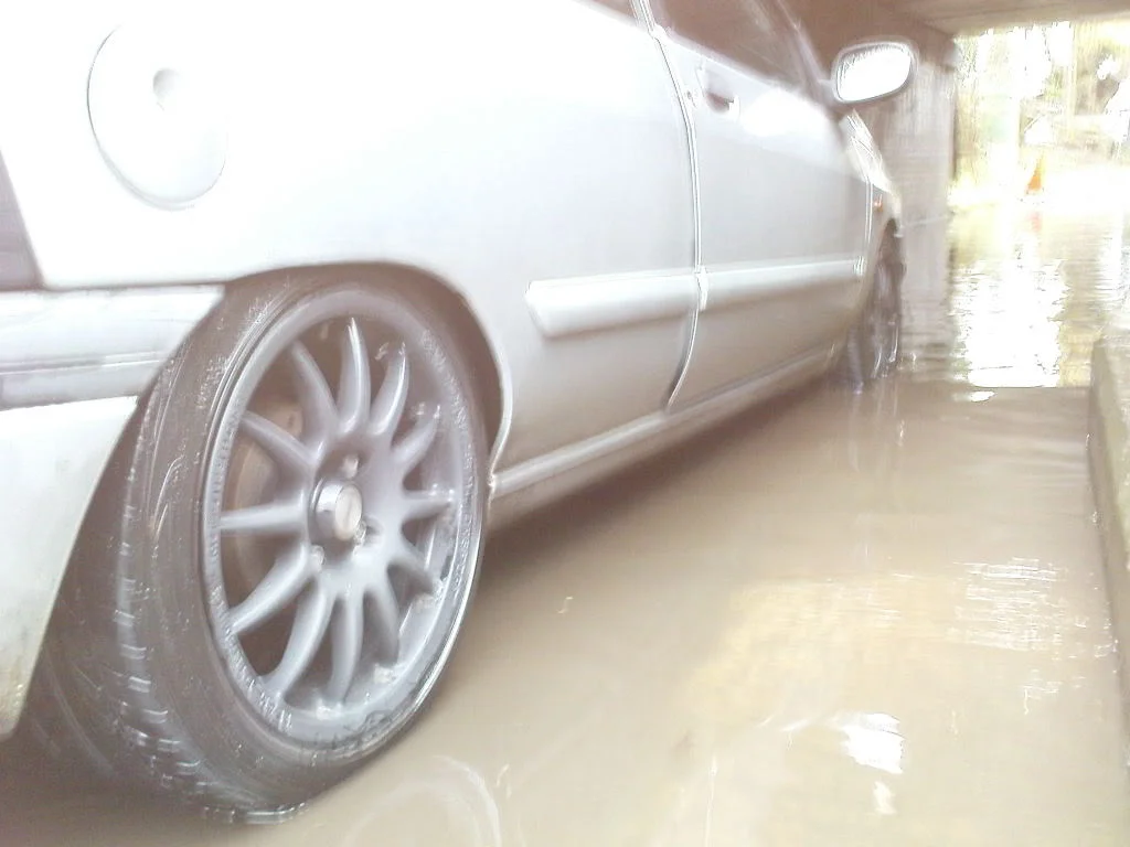 DSC00049.webp