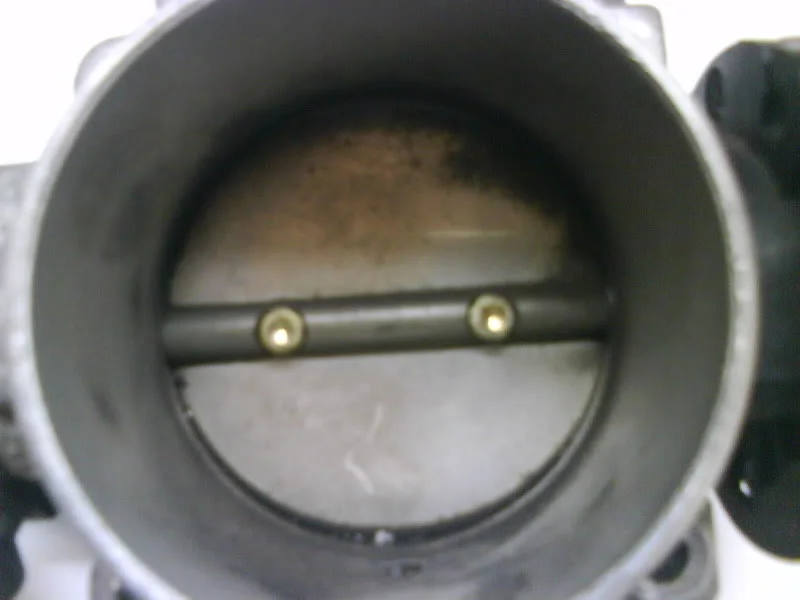 DSC00055.webp