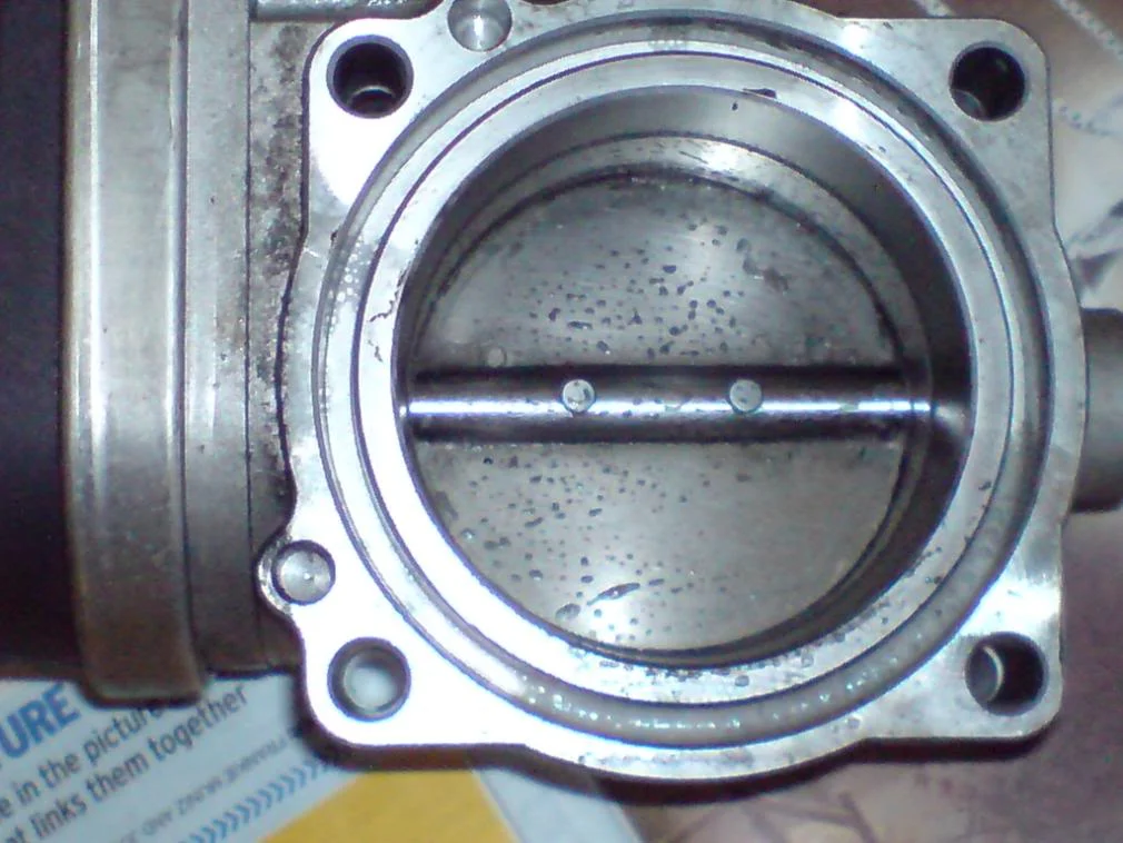 DSC00058.webp
