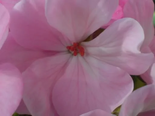 DSC00063.webp