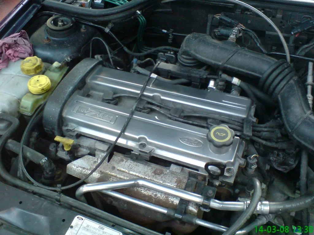 DSC00066.webp