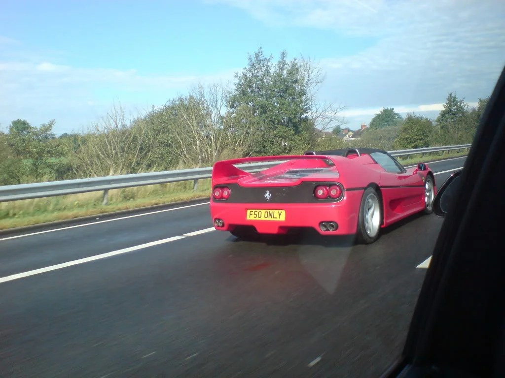 DSC00073.webp