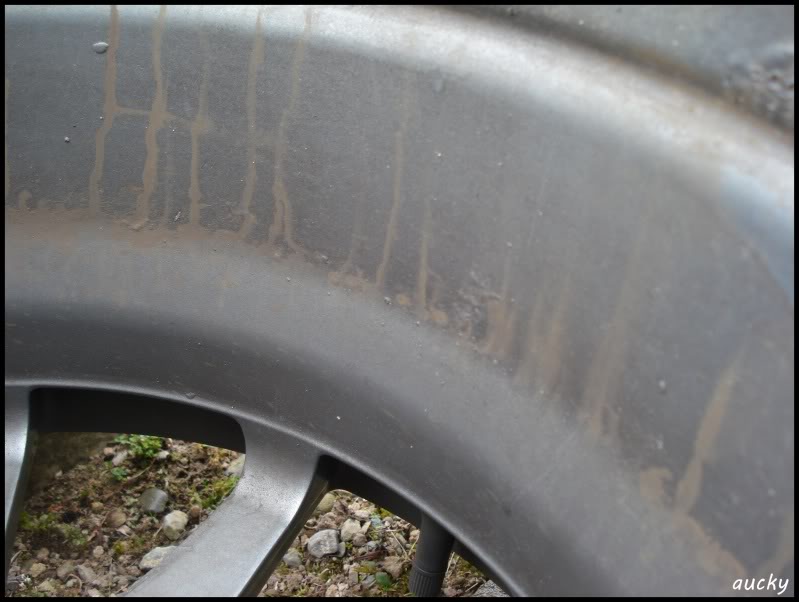 DSC00074.jpg DSC00074.jpg