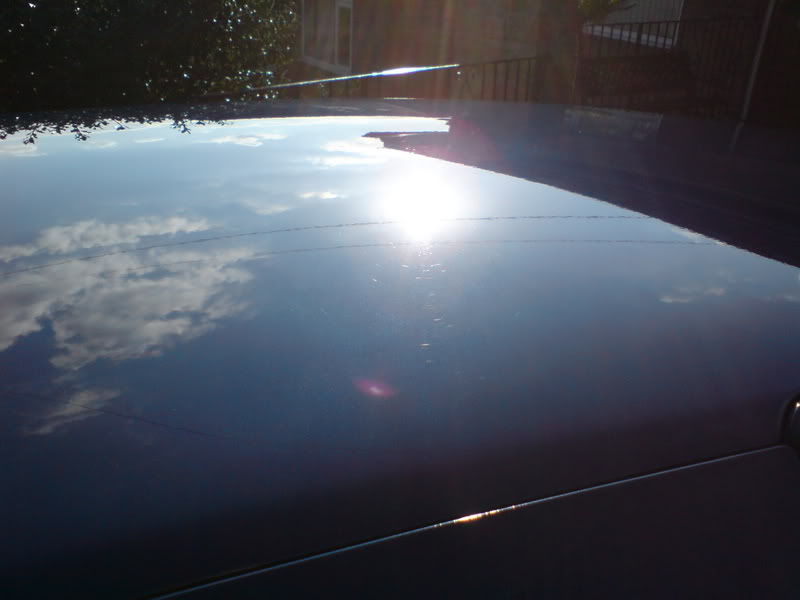 DSC00079.jpg DSC00079.jpg