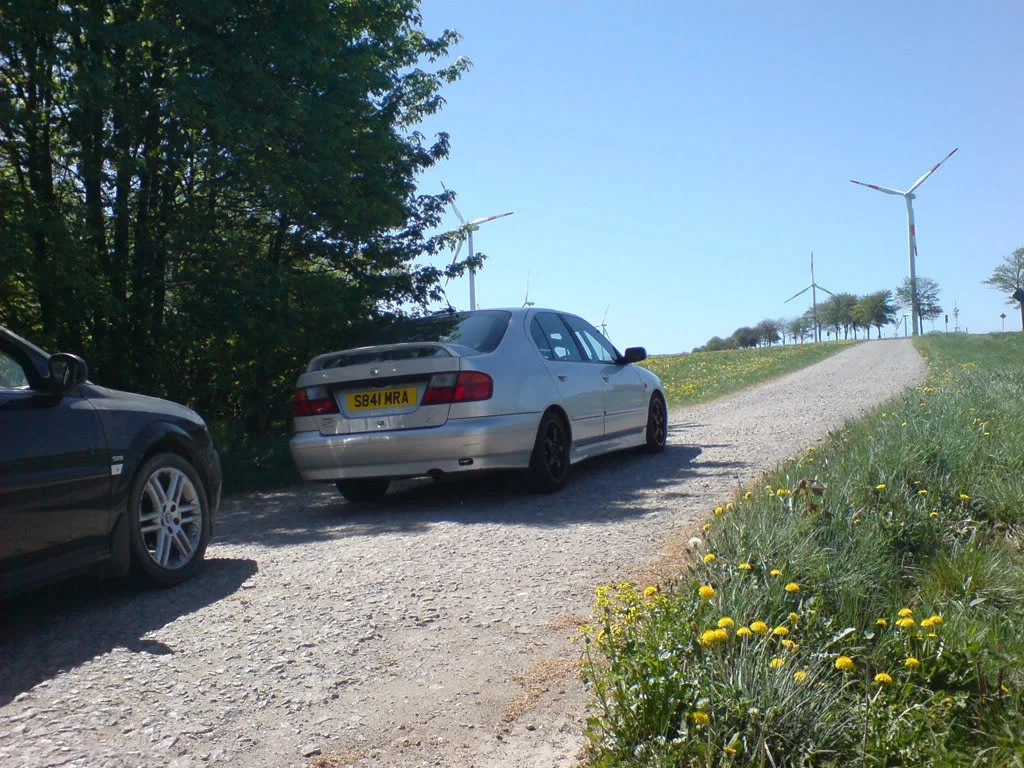 DSC00079.webp