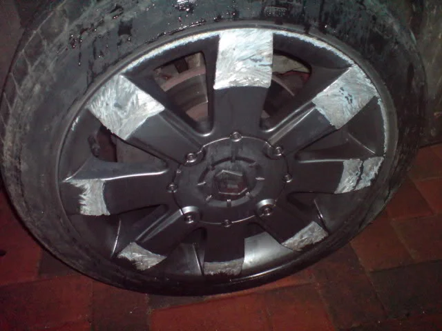 DSC00079.webp
