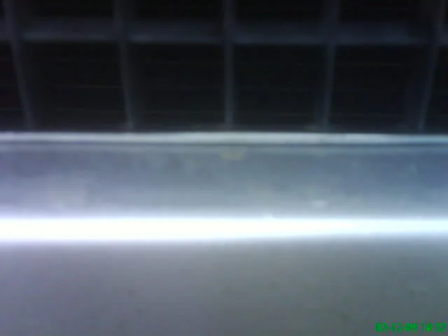 DSC00079.webp