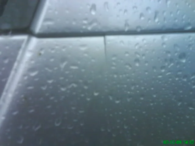 DSC00080.webp