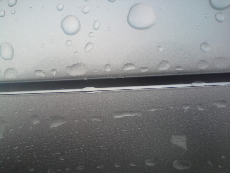 DSC00085.jpg DSC00085.jpg