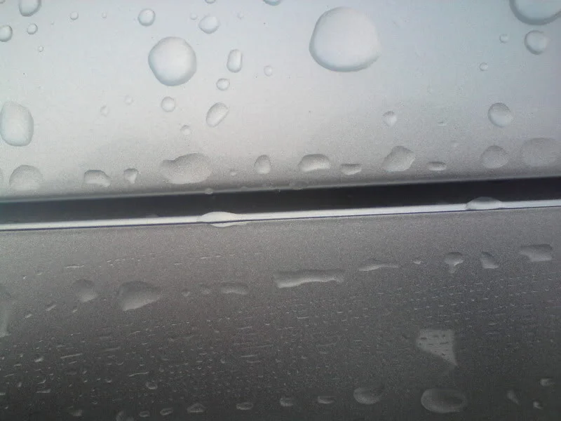 DSC00085.webp