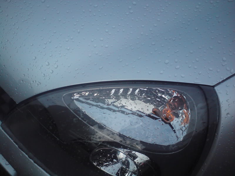 DSC00086.jpg DSC00086.jpg