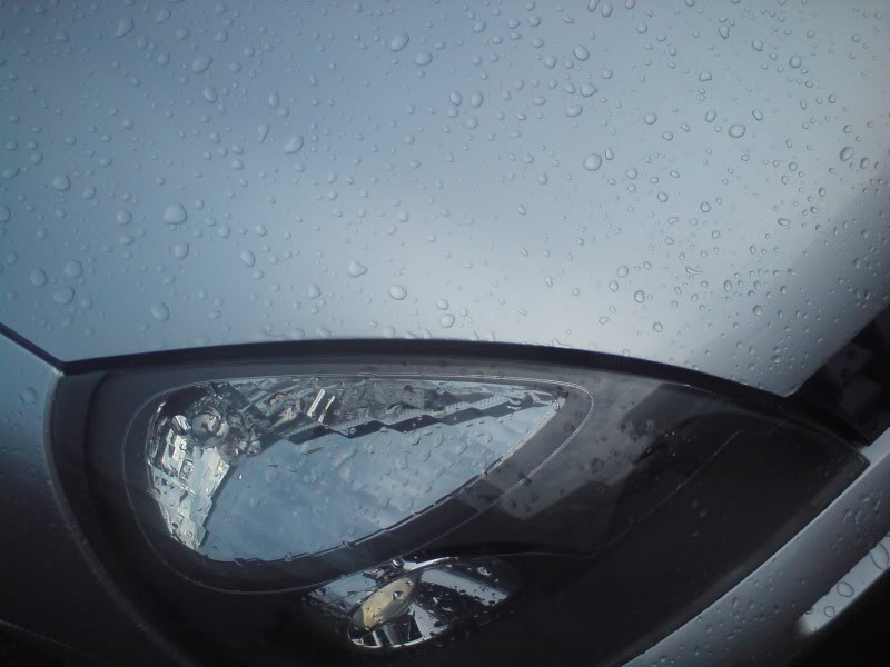 DSC00087.jpg DSC00087.jpg