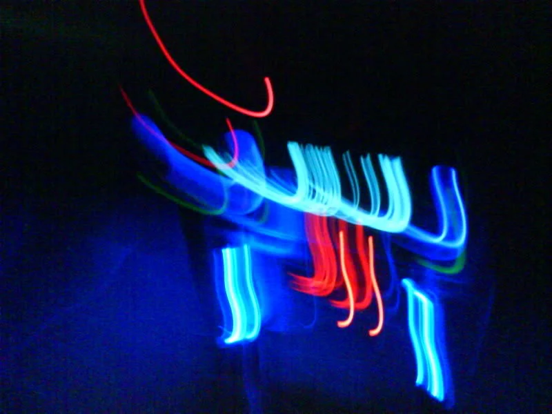 DSC00087.webp