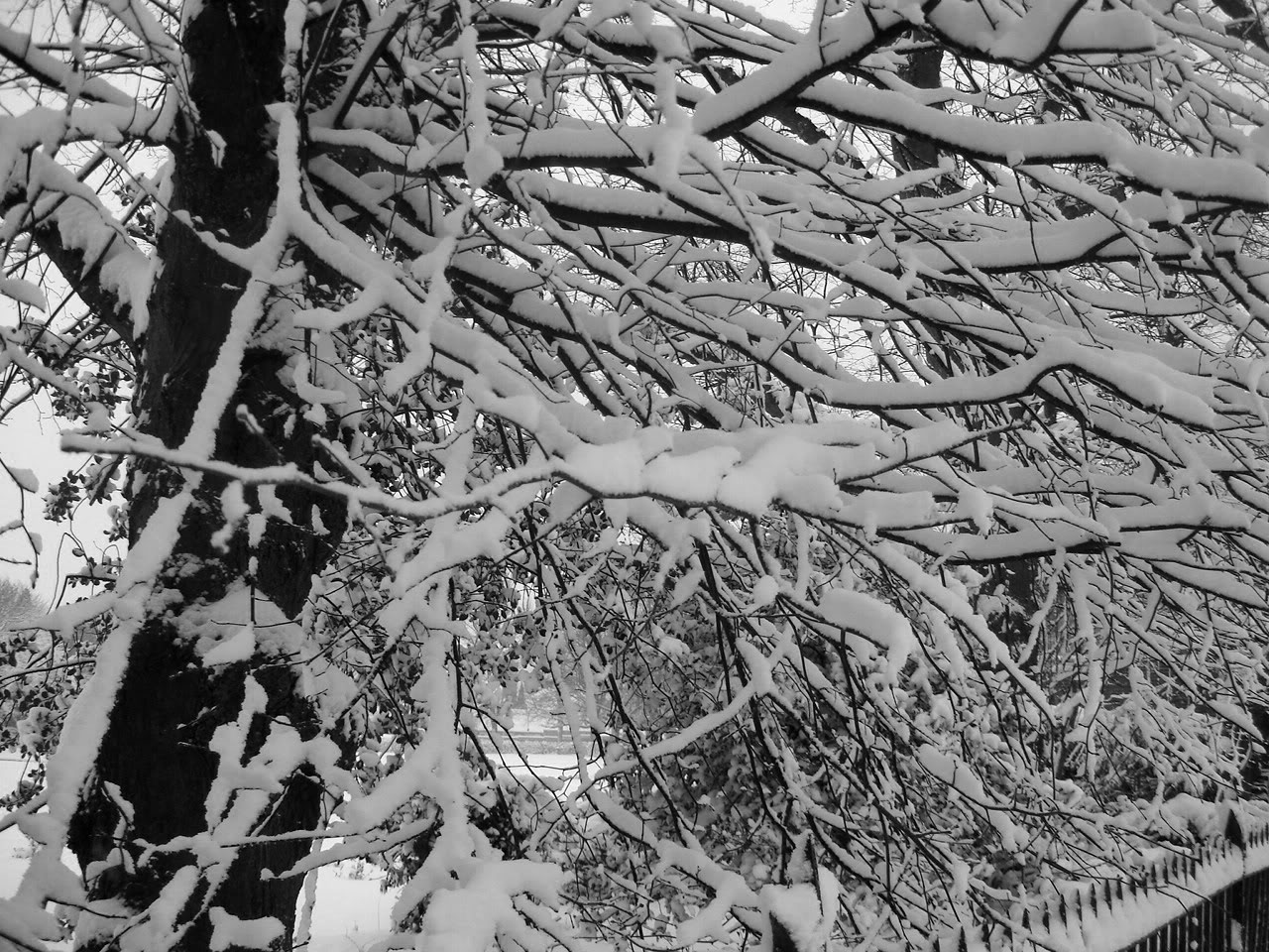 DSC00089.jpg