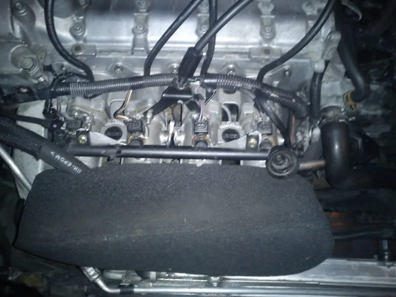 DSC00090.webp