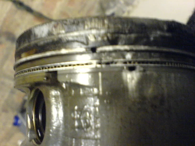 DSC00092.webp