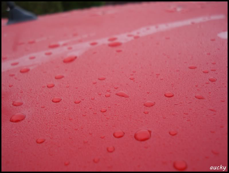 DSC00093.jpg DSC00093.jpg