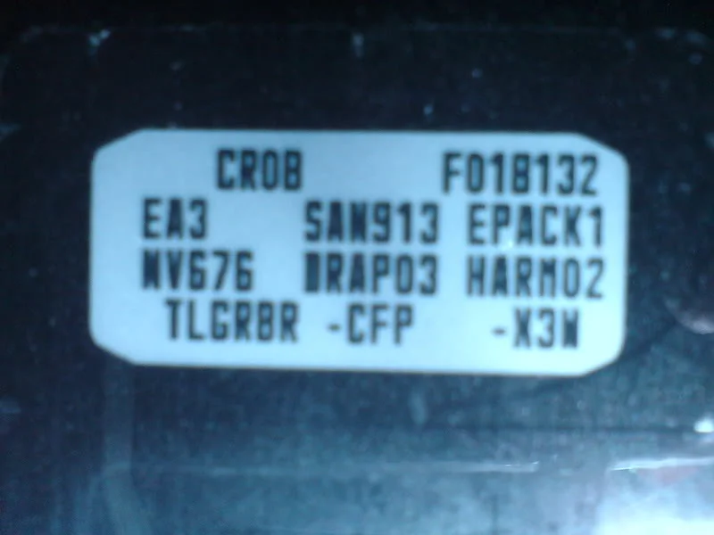 DSC00095.webp