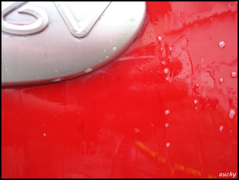 DSC00096.jpg DSC00096.jpg