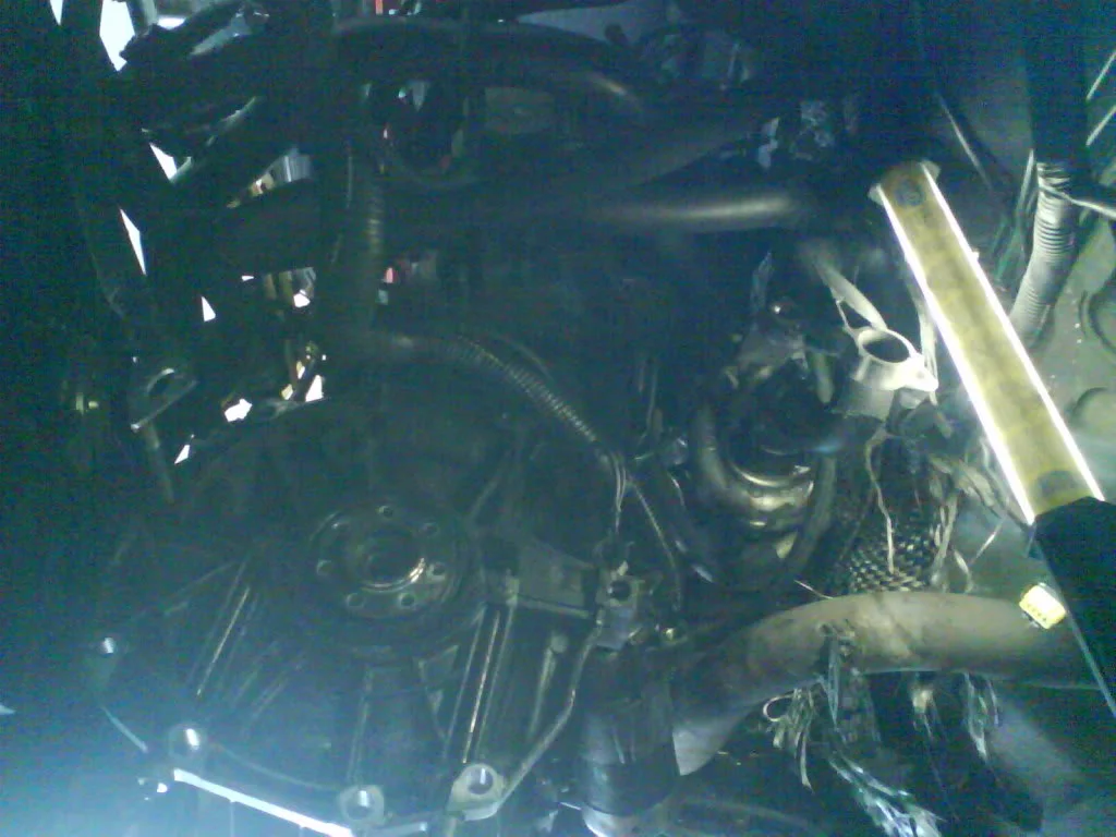 DSC00096.webp