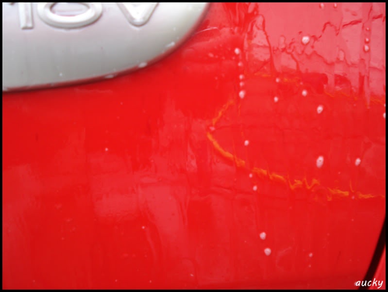 DSC00097.jpg DSC00097.jpg